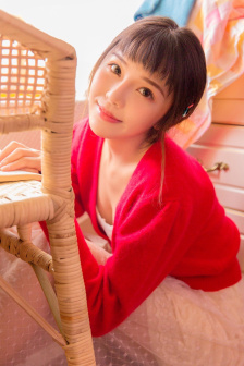 善良的妻子的朋友